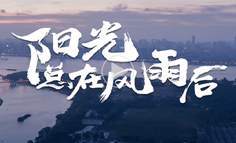 陽光總在風雨后